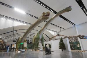 34 Alloway Hall Joel Ross